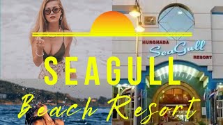 Seagull Beach ⛱ Resort HURGHADA Review