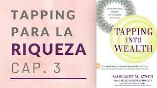 ABUNDANCIA vs. DINERO: Las 5 CATEGORÍAS del DINERO - Tapping into Wealth Resumen Cap. 3