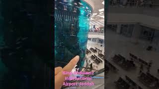 aquarium at jeddah airport #airport #jeddah #kingabdulazizairport