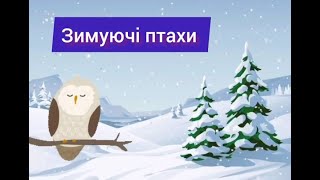 Заняття з розвитку мовлення на тему: "Зимуючі птахи"