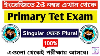 Singular to Plural for Primary Tet//ইংরেজিতে ২-৩ নম্বর পাক্কা🔥// Primary TET 2023.