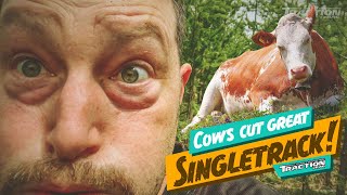 Cows Cut Great Singletrack