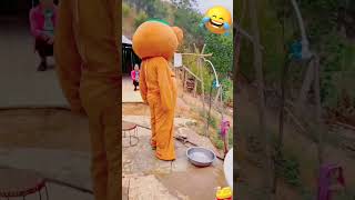 Funny Video l Funny Bear 🐻😂 P1579 #Shorts