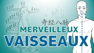 #16 -  Les MERVEILLEUX VAISSEAUX - Médecine Traditionnelle Chinoise