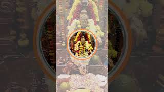 Swami saranam ayyappa #swami #ayyappa #sabrimala #ayyappaswamysongs