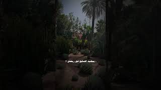 بمناسبة التسامح قبل رمضان المبارك 🤍#following #لايك_اشتراك #tiktok #trend #قصص_وروايات #رمضان