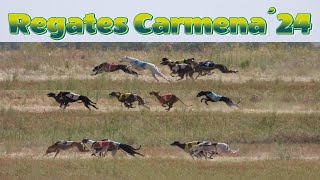 Carreras de regates en Carmena, domingo 1 de septiembre 2024