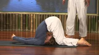 Hatha Yoga Posture Workshop (preview)