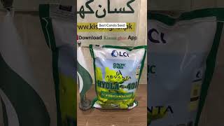 Advanta Hyola 401 Best canola seed in pakistan | New Stock LCI ICI at www.kissanghar.pk with free de