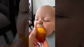 Peach #funny #babyface #short @gordonramsay😋🤩🤣 P418