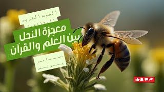 وثائقي معجزة النحل ما بين القرآن والعلم الآن * أداء سامر يونس