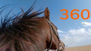 360 Horse Riding In The Countryside - 360° VR 4K - GoPro Fusion