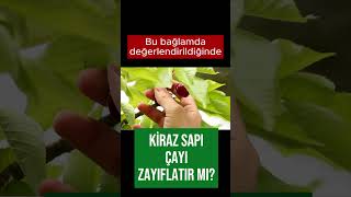 Kiraz sapı çayı zayıflatır mı? #shortsvideo