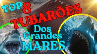 Tubarões"Top 8"/Os Perigosos Do Oceano/#curiosidades /#mundoselvagem/#naturezacuriosa@PolyCuriosity