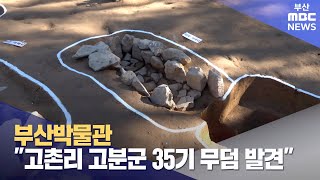 부산박물관, "고촌리 고분군 35기 무덤 발견" (2024-11-18,월/뉴스데스크/부산MBC)