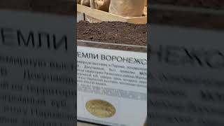 Любите свою землю!!! Эталон земли Воронежской на Центральном рынке Воронежа, 2023