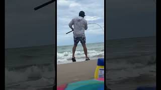 Shark fishing #shorts #fishing #outdoor #shortfishing #shark