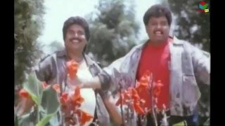 SP Balasubramanyam ,Dasari Narayana Rao  - Parvathalu Panakalu Comedy Movie