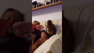 Il canto del cane!!