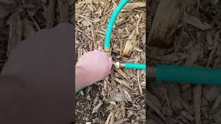 Super Simple Cheap DIY Auto Pig Waterer