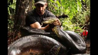 GIANT SNAKE ATTACK SECURITY GUARD