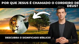 Por que Jesus é chamado o Cordeiro de Deus? Descubra o significado bíblico!