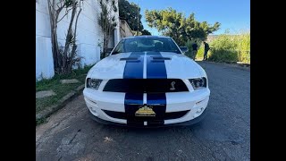 Mustang Shelby GT500 2009 SVT à venda 31988369733 (Gustavo Brasil)