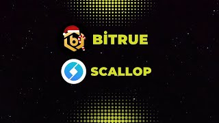 Sepetimize 25.000 adet Bitrue borsası tokeni Btr ve 4.000 adet Scallop borsası tokeni Sclp ekledik