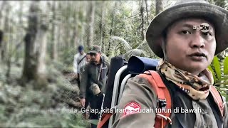 ADA JEJAK MACAN DAN KEANEKARAGAMAN HAYATI DI PEDALAMAN HUTAN SUKABUMI