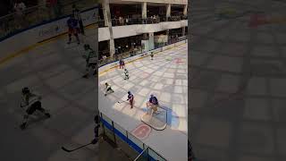 Hockey Game @West Edmonton Mall