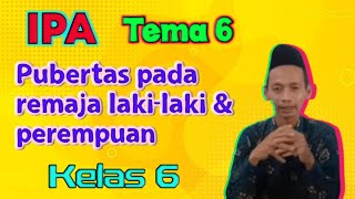 IPA, Tema 6, Pubertas Pada Remaja Laki-laki dan Perempuan, Kelas 6 MI Miftahul Akhlaqiyah