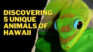 DISCOVERING 5 UNIQUE ANIMALS OF HAWAII