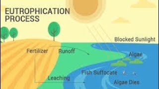 Eutrophication ppt/what is eutrophication