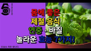 몸에 좋은 제철 음식 연중 - 바질 놀라운 효능 7가지!