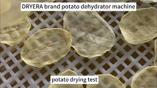 DRYERA brand potato chip drying machine