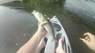 Multi Species Fishing In Wisconsin