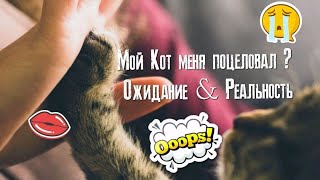 МОИ КОТЫ МЕНЯ НЕ ЛЮБЯТ - Поцелуи Ожидание / Реальность КОТИКИ