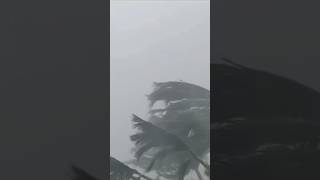 Cyclone 🌀 Dana landfall in Odisha #cyclone #news #odisha #trending #cyclonelive