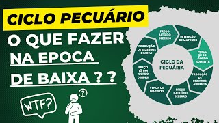 Ciclo Pecuário. O que fazer na época de baixa ??