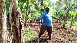 WHAT A SURPRISE FOR MY LANDLADY⁉️ HELPING HER IN FARM PREPARATION ‼️..