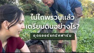 ไม่ไถพรวน ไม่ขุด และไม่รบกวนดิน จะเตรียมดินอย่างไร? | Udon Organic Farm