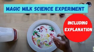 Magic Milk Experiment Including Explanation By Roman