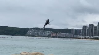 RC Helicopter UH60 Black Hawk F09 Flight Stunt Demonstration