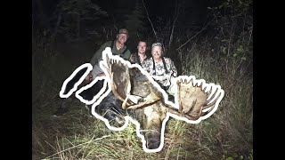 ALASKA MOOSE HUNT {GIANT BULL!!!} TRAILER