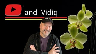 YouTube and Vidiq marketing tools for Small Business and Florist