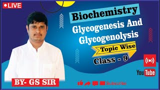 Reaction of Glycogenesis || Glycogenolysis Pathway || Reaction of Glycogenolysis || By GS Sir