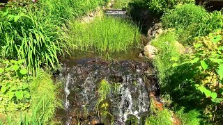 Beautiful Waterfall and Nature Relaxing for Stress Relief