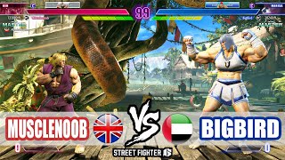 SF6 ➤ MuscleNoob (Ken) VS BigBird (Marisa)【Street Fighter 6】