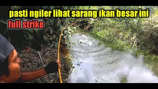 PANEN IKAN BESAR TEPAT DI SARANGNYA SEMUA PEMANCING PASTI NGILER