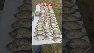 60 crappies At noon#crappies #fishing 😎😎😎